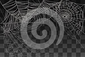 Spider spooky web decoration for background vector illustration on transparent background