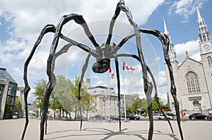 Spider Statue - Ottawa - Canada