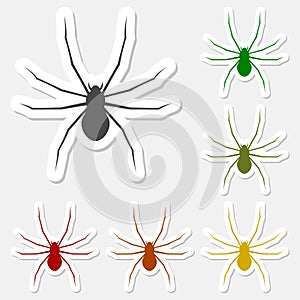 Spider sticker set