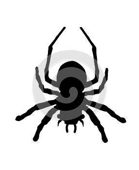 Spider symbol. Tarantula vector silhouette isolated on white background. Arachnophobia.