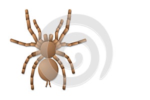 Spider tarantula on white background, top view