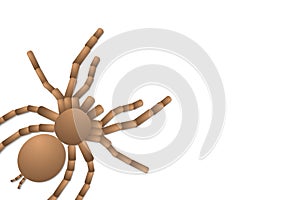 Spider tarantula on white background, top view