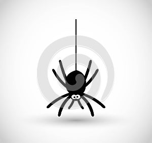 Spider vector icon
