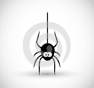 Spider vector icon