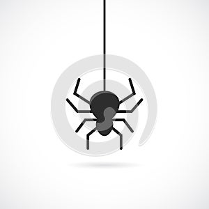 Spider vector icon