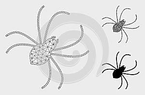 Spider Vector Mesh Network Model and Triangle Mosaic Icon