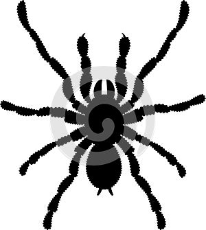spider vector silhouette black