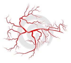 Spider vein vector symbol icon design. Beautiful illustration is