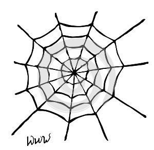 Spider web