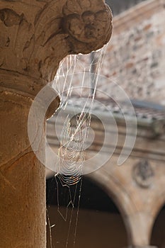 A spider web on an ancient columns
