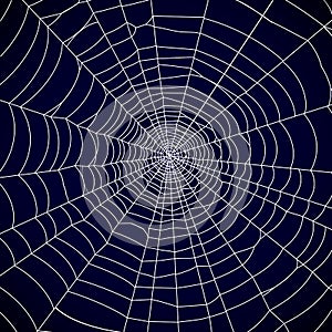 Spider web background -