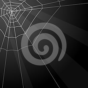 Spider web background