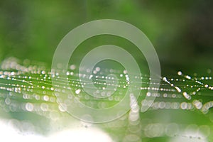 Spider web background