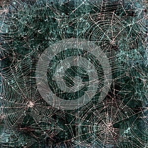 Spider web background - cobweb texture