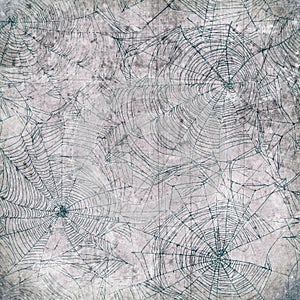 Spider web background - cobweb texture