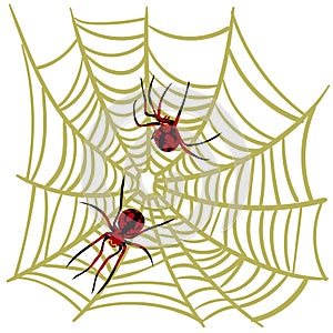 Spider web background for Halloween greeting cards on a white background. A black and red spider on a yellow cobweb hunts and