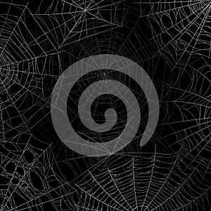 Spider web background. Spooky cobweb for halloween, black grunge poster with spider webs silhouette texture. Scary party