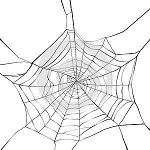 Spider web photo