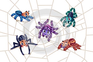 Spider on web. Cartoon tarantula characters sitting on net. Funny insects weaving cobweb. Arachnid mascots with smile photo