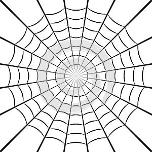 Spider web or cobweb. Halloween net background. Vector illustration