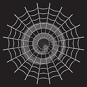 Spider web or cobweb. Halloween net background. Vector illustration