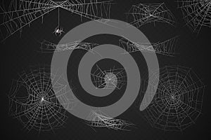 Spider web. Cobweb silhouette for halloween decoration, gossamer trap. Scary horror webs, spooky garden realistic web photo