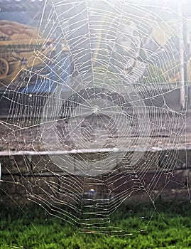 A Spider Web - Cobweb - Tangle Web - in Bright Sunlight - with Colorful Background -