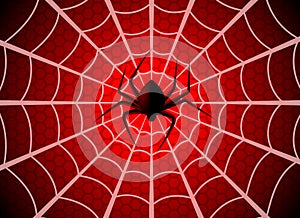 Spider web. Cobweb trap, gossamer halloween graphic silhouette. Spider man funny spooky party net texture, wallpaper