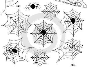 Spider Web Collection