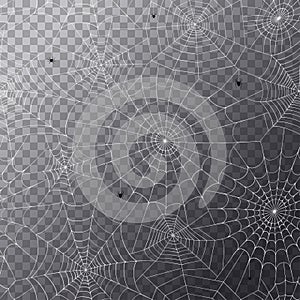 Spider web concept