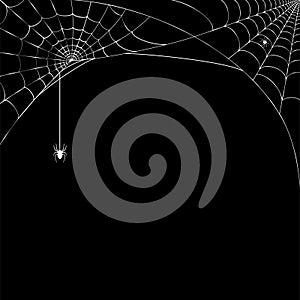 Spider web concept