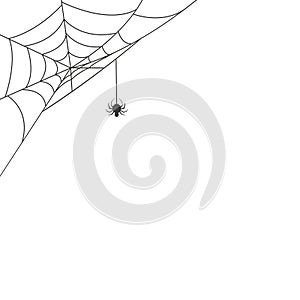 Spider web in the corner with a hanging spider