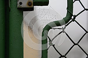 Spider Web On a Metal Gate Covered up with Water Drops, Czech Republic, Europe