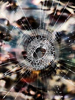 Spider Web design macroshot pattern