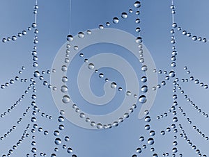 Spider web with dew drops closeup.