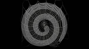 Spider Web with Dew Drops in Dark Background