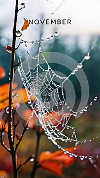 A spider web with dew drops on it and a leaf, AI