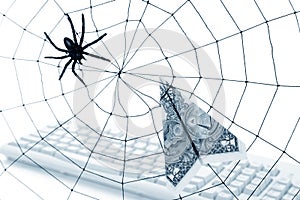 Spider Web and dollar