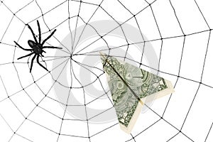 Spider Web and dollar