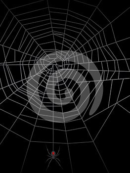 Spider Web EPS