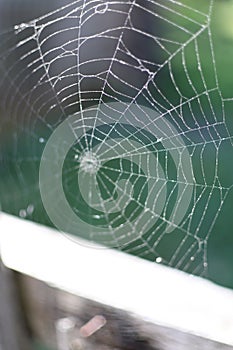 A spider web on a fence at the country side. Green grass in the background, rural setting