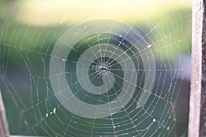 A spider web on a fence at the country side. Green grass in the background, rural setting