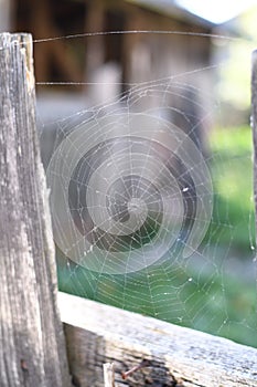 A spider web on a fence at the country side. Green grass in the background, rural setting