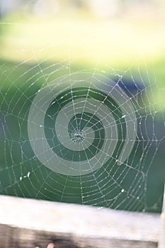 A spider web on a fence at the country side. Green grass in the background, rural setting