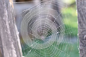 A spider web on a fence at the country side. Green grass in the background, rural setting