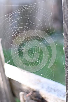 A spider web on a fence at the country side. Green grass in the background, rural setting