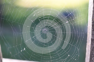 A spider web on a fence at the country side. Green grass in the background, rural setting