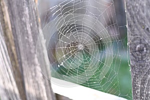 A spider web on a fence at the country side. Green grass in the background, rural setting