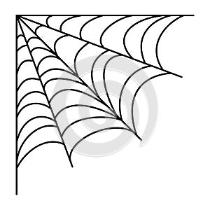 Spider web. Halloween hand drawn cobweb