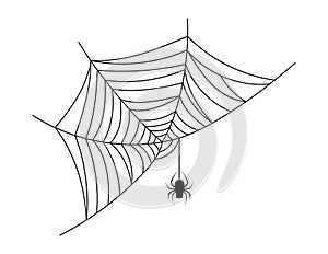 spider web, halloween spiderweb and spider hanging, spider web illustration